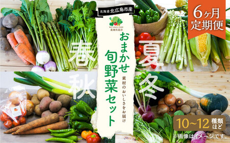 【6ヶ月定期便】 おまかせ旬野菜セット 旬 野菜 セット 北海道 北広島市