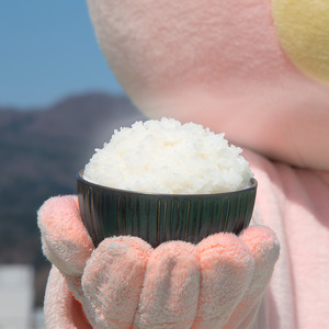 朝日町産 米 つや姫 雪若丸 食べ比べ 令和5年産 10kg