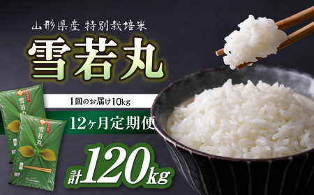 《定期便12ヶ月》特別栽培米 雪若丸 10kg×12回 合計120kg 【山形県産】 001-T44