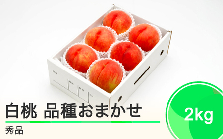 もも 白桃 秀品 品種おまかせ 約2kg 化粧箱入りフルーツ 果物 2024年産 山形県産 ns-mohtx2