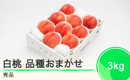 もも 白桃 秀品 品種おまかせ 約3kg 化粧箱入りフルーツ 果物 2024年産 山形県産 ns-mohtx3