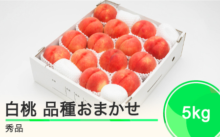 もも 白桃 秀品 品種おまかせ 約5kg 化粧箱入りフルーツ 果物 2024年産 山形県産 ns-mohtx5