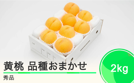 もも 有袋黄桃 秀品 品種おまかせ 約2kg 化粧箱入りフルーツ 果物 2024年産 山形県産 ns-mootx2