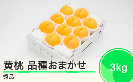 もも 有袋黄桃 秀品 品種おまかせ 約3kg 化粧箱入りフルーツ 果物 2024年産 山形県産 ns-mootx3