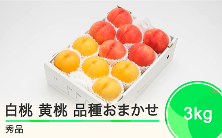 もも 白桃＆有袋黄桃 秀品 品種おまかせ 約3kg 化粧箱入りフルーツ 果物 2024年産 山形県産 ns-mohot3