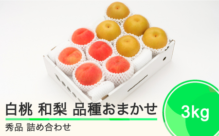 もも 白桃 秀品＆和梨 品種おまかせ 約3kg 詰め合わせ なしフルーツ 果物 2024年産 山形県産 送料無料 ns-fshnx3