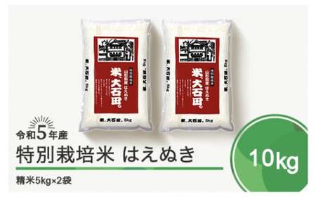 米 令和5年産 2023年産 はえぬき 10kg 大石田町産 特別栽培米 精米 ja-hasxa10