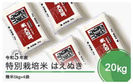 米 令和5年産 2023年産 はえぬき 20kg 大石田町産 特別栽培米 精米 ja-hasxa20
