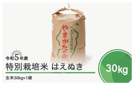 令和5年産 米 はえぬき30kg 大石田町産 特別栽培米 玄米 先行予約 ※沖縄・離島への配送不可