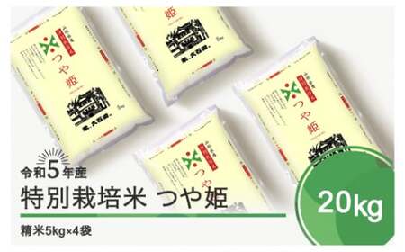 令和5年産 米 つや姫 20kg 大石田町産 特別栽培米 精米 ja-tssxa20