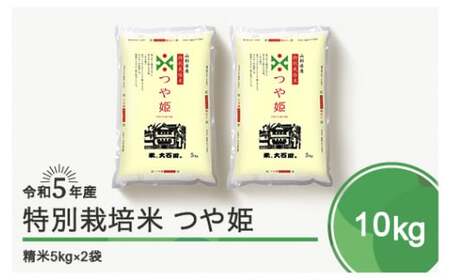 令和5年産 米 つや姫 10kg 大石田町産 特別栽培米 精米 ja-tssxa10