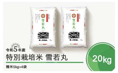 令和5年産 米 雪若丸 20kg 大石田町産 特別栽培米 精米 ja-yusxa20