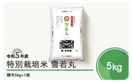 先行予約 令和5年産 米 雪若丸 5kg 大石田町産 特別栽培米 精米 ja-yusxa5