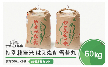 米 令和5年産 2023年産 はえぬき 雪若丸 各30kg 計60kg 玄米 ja-hygxa60