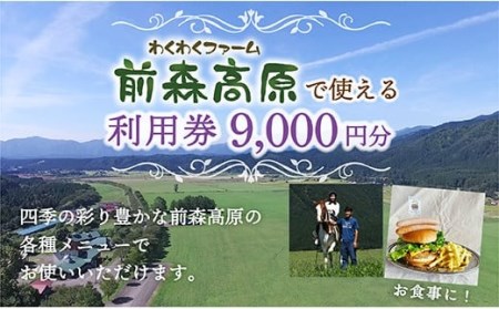 前森高原 利用券 9000円分