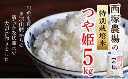 【令和6年産予約】特別栽培米　つや姫　白米　5kg×1