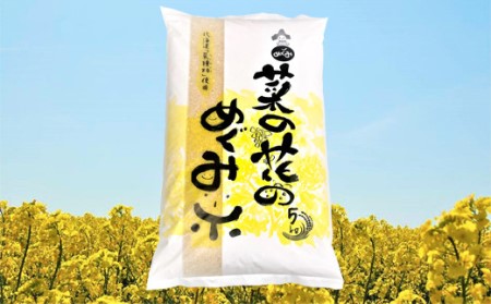 290007 令和5年産 菜の花のめぐみ米【ななつぼし】5kg  