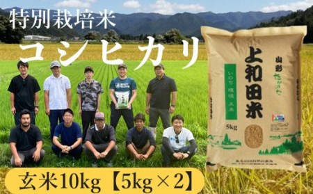 上和田有機米生産組合 特別栽培米コシヒカリ玄米10kg F20B-355