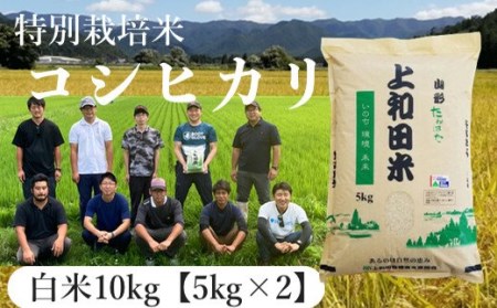 上和田有機米生産組合 特別栽培米コシヒカリ白米10kg F20B-356