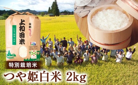山形県 高畠町産 特別栽培米 つや姫 白米 2kg お米 精米 ブランド米  ごはん ご飯  F20B-206
