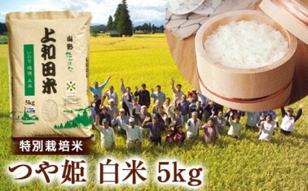 山形県 高畠町産 特別栽培米 つや姫 白米 5kg お米 精米 ブランド米  ごはん ご飯  F20B-209