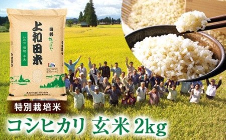 山形県 高畠町産 特別栽培米 コシヒカリ 玄米 2kg お米  ブランド米 米  ごはん ご飯 F20B-211