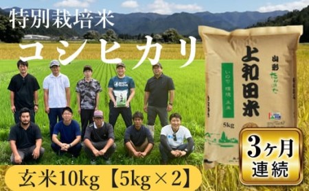 上和田有機米生産組合 特別栽培米コシヒカリ玄米10kg 3ヶ月定期便 F20B-357