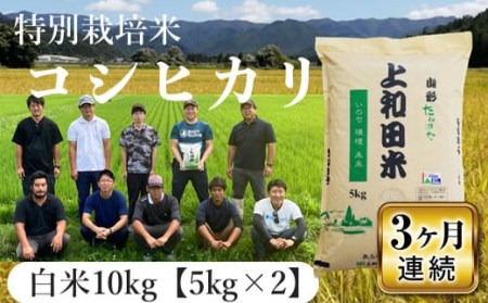 上和田有機米生産組合 特別栽培米コシヒカリ白米10kg 3ヶ月定期便 F20B-358