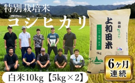 上和田有機米生産組合 特別栽培米コシヒカリ白米10kg 6ヶ月定期便 F20B-360