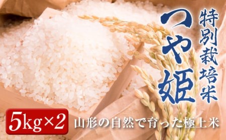 山形県産 特別栽培米 つや姫5kg×2 お米 白米 精米 ごはん 山形県 高畠町 F20B-734