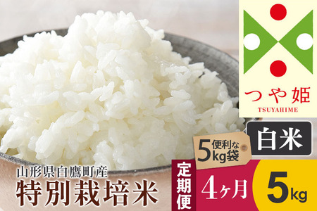 《定期便4ヶ月》【白米】つや姫 5kg×4回（特別栽培米）令和5年産 山形県産 しらたかのお米