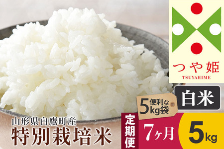 《定期便7ヶ月》【白米】つや姫 5kg×7回（特別栽培米）令和5年産 山形県産 しらたかのお米