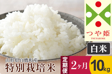 《定期便2ヶ月》【白米】つや姫 10kg×2回（特別栽培米）令和5年産 山形県産 しらたかのお米