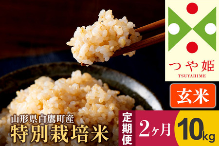 《定期便2ヶ月》【玄米】つや姫 10kg×2回（特別栽培米）令和5年産 山形県産 しらたかのお米