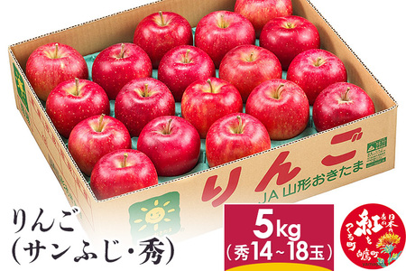 りんご (サンふじ・秀) 5kg 山形県産 フルーツ 果物 【2024年11月下旬～12月上旬に順次発送予定】