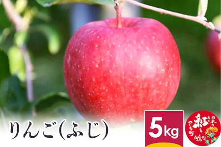 りんご (ふじ)  5kg 山形県産 フルーツ 果物 リンゴ 林檎 【2024年12月上旬～12月下旬に順次発送予定】