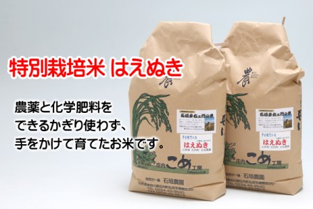 石垣農園の特別栽培米はえぬき10kg