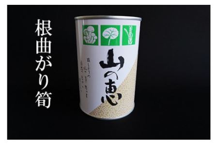 No.0211 たけのこ 缶詰（根曲り筍）1缶