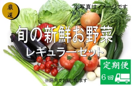 No.1008　大人気！旬の新鮮お野菜　レギュラーセット（詰め合わせ）【定期便６回】