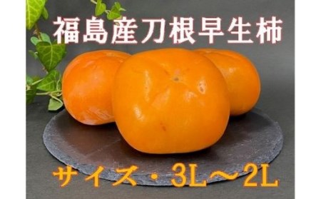 No.2582株式会社円和 青果部 刀根早生柿（種ナシ）約7kg【2024年発送】