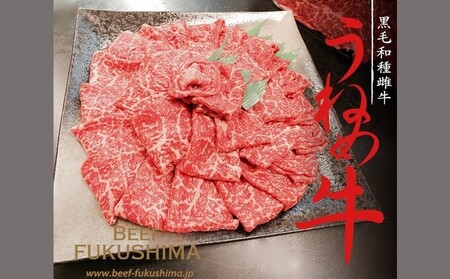 うねめ牛 上赤身肉スライス（すき焼き・しゃぶしゃぶ）500g（250g×2p）