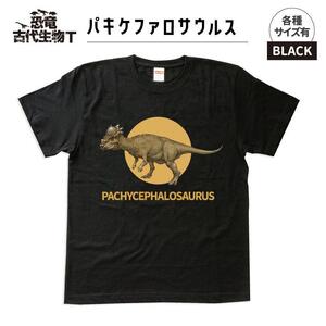 恐竜・古代生物Tシャツ　パキケファロサウルス 036　サイズ130（キッズ・ユニセックス）