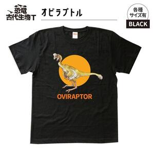 恐竜・古代生物Tシャツ　オビラプトル　サイズM（レギュラー）