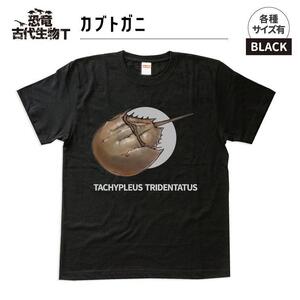 恐竜・古代生物Tシャツ　カブトガニ　サイズ100（キッズ・ユニセックス）