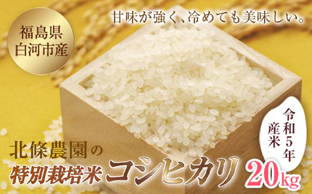 令和5年産米 北條農園の特別栽培米（コシヒカリ） 20kg F21R-101