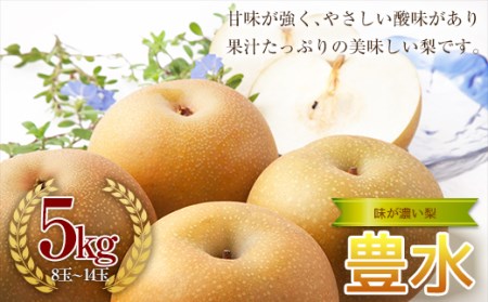 《2024年秋出荷》味が濃い梨 豊水5kg（8～14玉） F21R-855