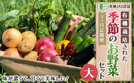 《有機JAS認証》オーガニック 季節のお野菜セット（大）定期便 3ヶ月連続 F21R-864