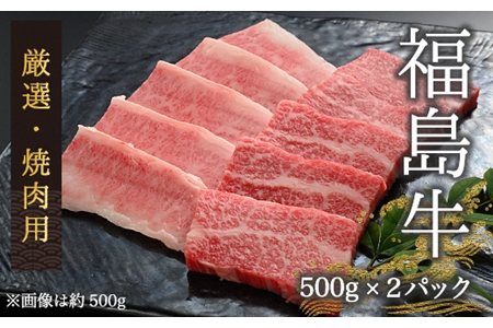 今野畜産 福島牛／厳選焼肉用（500g×2パック）【42002】