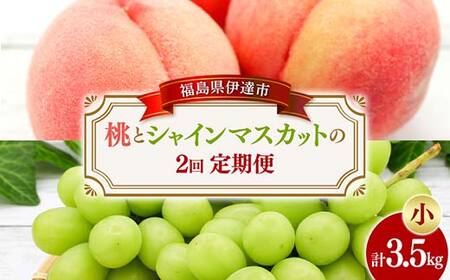 桃とシャインマスカットの定期便（小） 福島の桃 果物 先行予約 フルーツ 桃 モモ もも 葡萄 ブドウ ぶどう 福島県 伊達市 もも モモ momo F20C-785