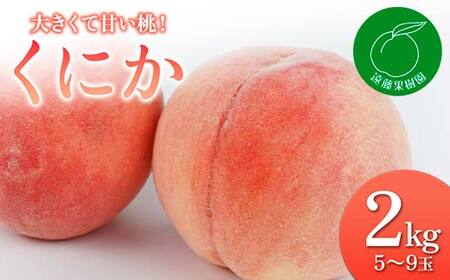 福島の桃 大きくて甘い桃！「くにか」2kg（5～9玉）先行予約 フルーツ 果物 もも モモ momo F20C-830
